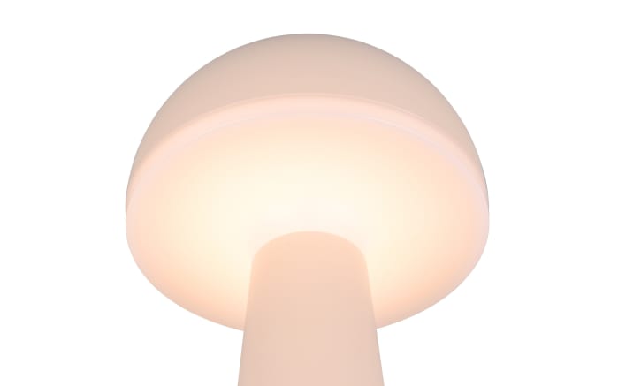 LED-Akku-Tischleuchte Fungo, sand, 31 cm-03