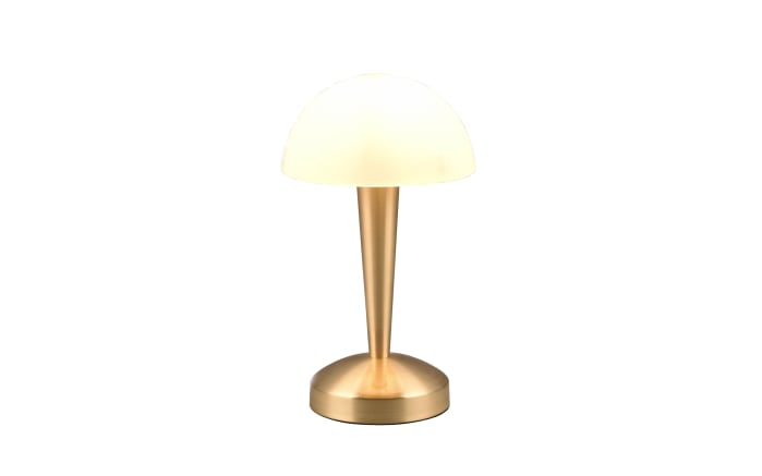 LED-Tischleuchte Canaria, Messing/weiß, inkl. Touch Dimmer-03