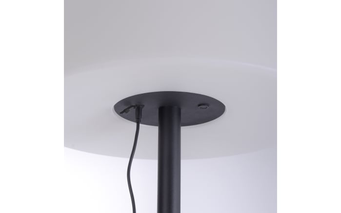 LED-Akku-Standleuchte Holly, schwarz/weiß, 135 cm-04