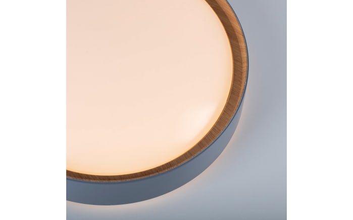 LED-Deckenleuchte Emilia, grau, 39,6 cm-04