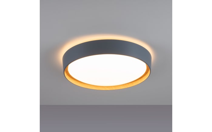 LED-Deckenleuchte Emilia, grau, 39,6 cm-03