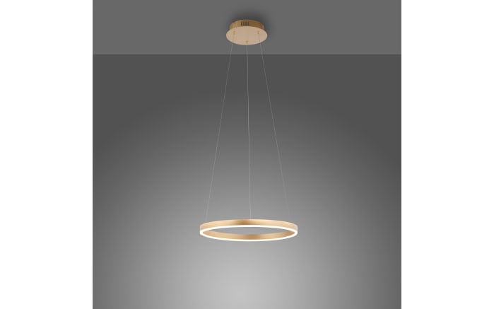 LED-Pendelleuchte Ritus, messing matt, 39,3 cm-03