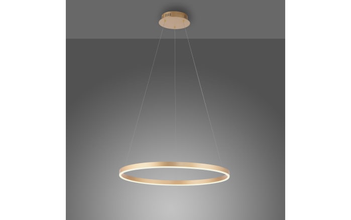 LED-Pendelleuchte Ritus, messing matt, 58,5 cm-03