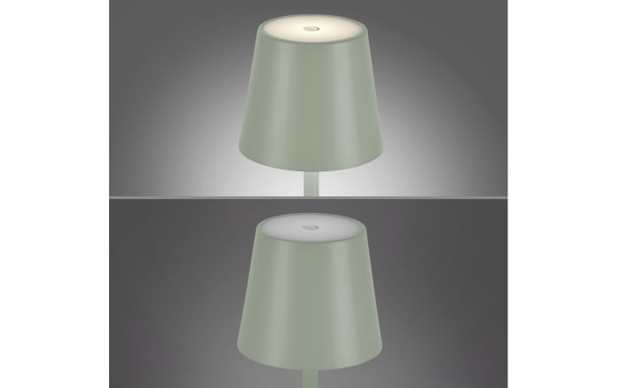 LED-Akku Tischleuchte Euria, grün, 11 cm-07