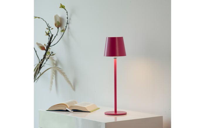 LED-Akku Tischleuchte Boteria, pink, inkl. Flaschenverschluss-08