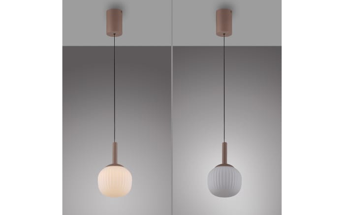 Pendelleuchte Nami, sandfarbig, 1-flammig, inkl. Comfort-Lift Funktion-04
