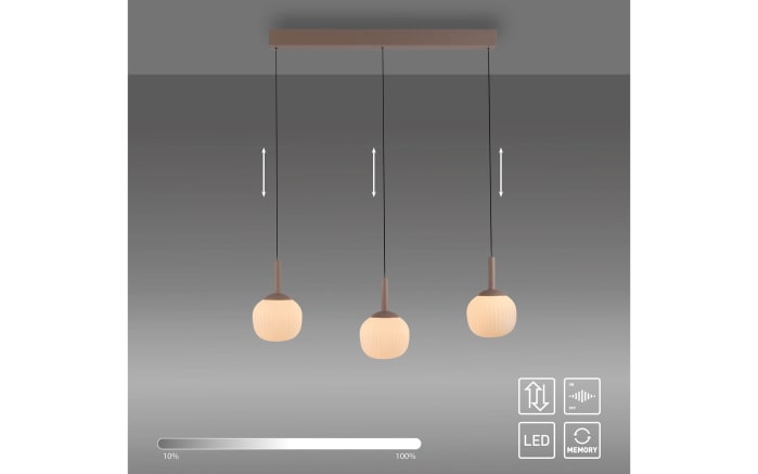 Pendelleuchte Nami, sandfarbig, 3-flammig, inkl. Comfort-Lift Funktion-05