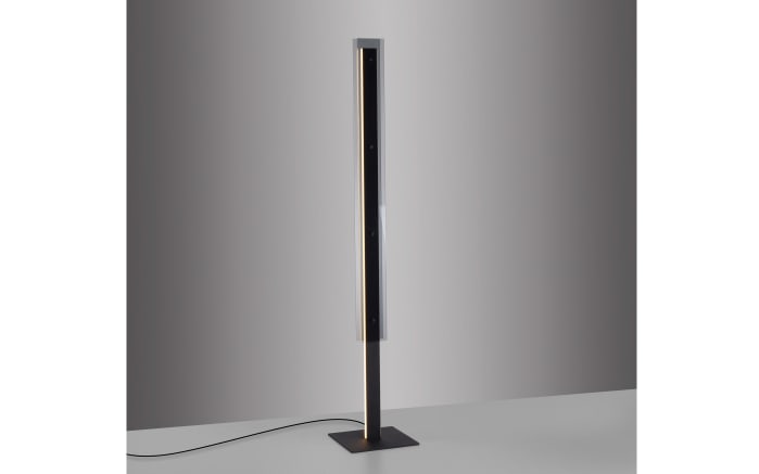 LED-Stehleuchte Lena, schwarz, inkl. Memoryfunktion-05