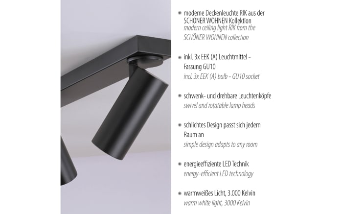 Deckenleuchte Rik, schwarz-07