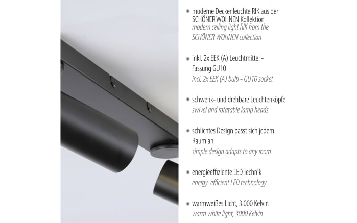 Deckenleuchte Rik, schwarz-08