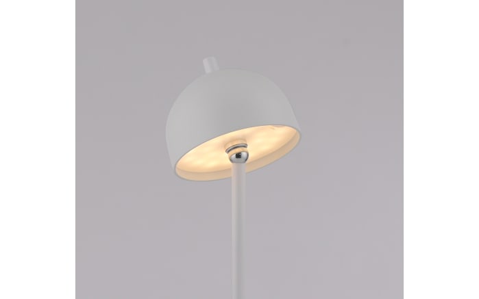 AKKU-Stehleuchte Bellis, weiß-04