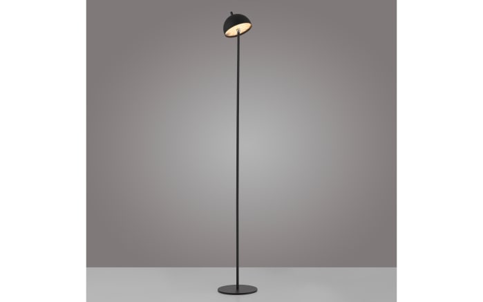 AKKU-Stehleuchte Bellis, schwarz-05