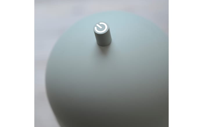 AKKU-Stehleuchte Bellis, graugrün-04