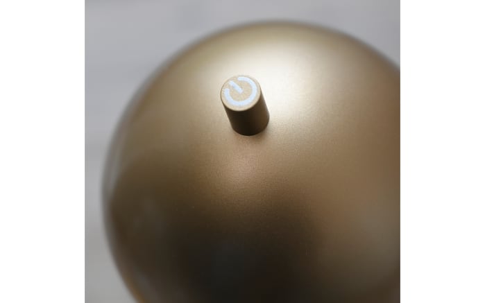 AKKU-Tischleuchte Bellis, goldfarbig-06