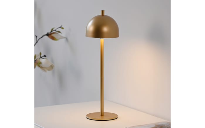 AKKU-Tischleuchte Bellis, goldfarbig-05