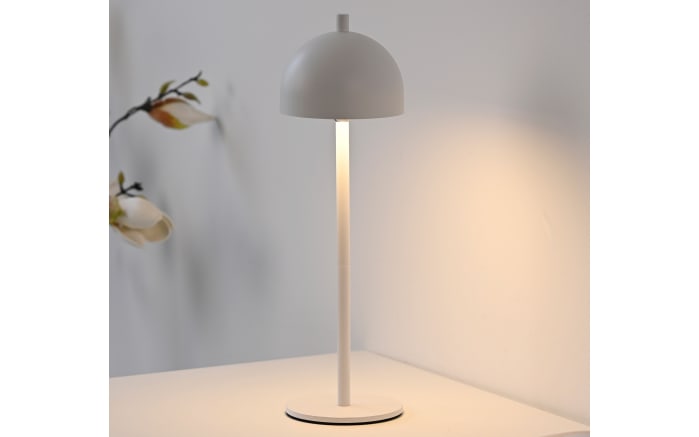 AKKU-Tischleuchte Bellis, weiß-05