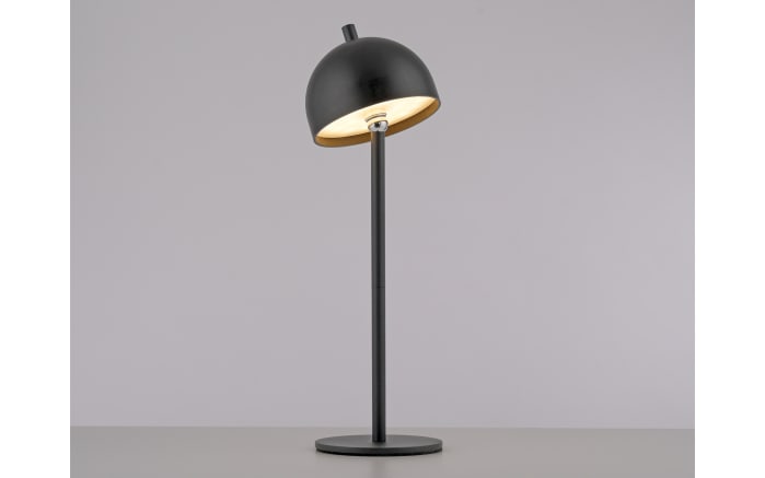 AKKU-Tischleuchte Bellis, schwarz-03