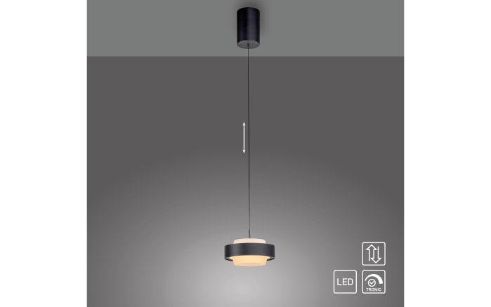 LED-Pendelleuchte Elmo, schwarz-06