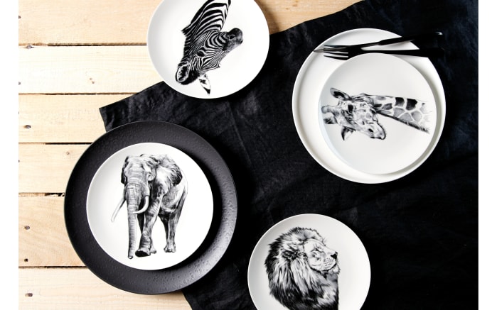 Dessertteller Safari, Porzellan, schwarz, Elefant-02