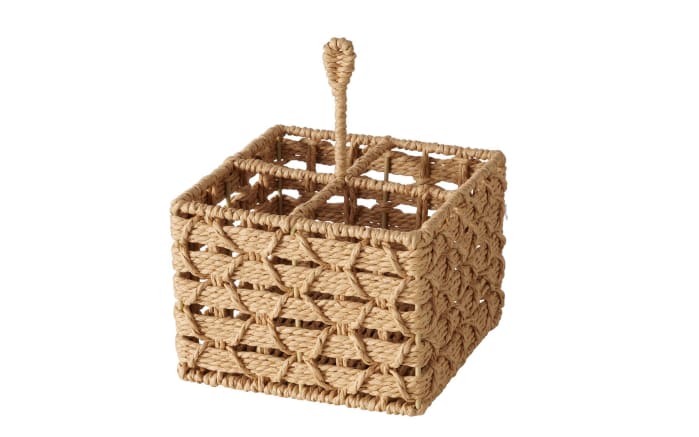 Box Chariso, braun-01