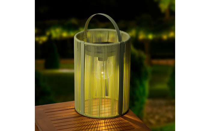 Solar Laterne Holz, grün-01