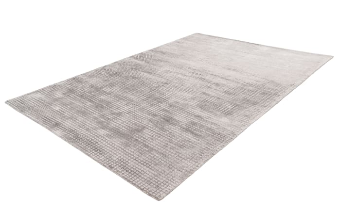 Teppich Bridget 125 in silber, 160 x 230 cm-02