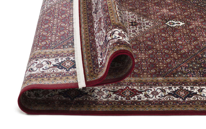 Teppich Seidenwind Bidjar, rot/rot, 200 x 290 cm-04