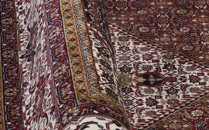 Teppich Seidenwind Bidjar, rot/rot, 200 x 290 cm-05