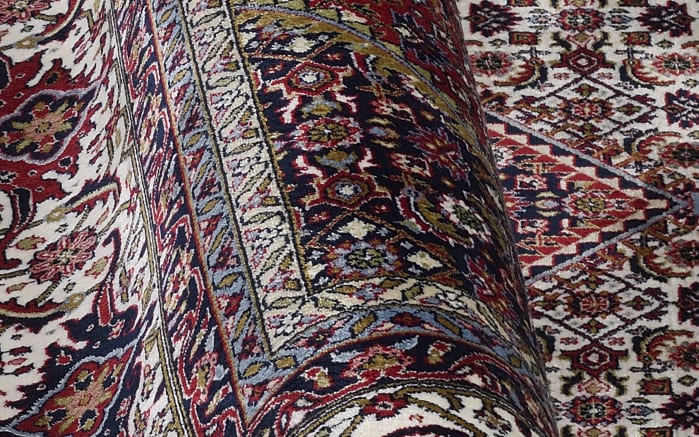 Teppich Seidenwind Bidjar, rot/creme, 200 x 290 cm-05