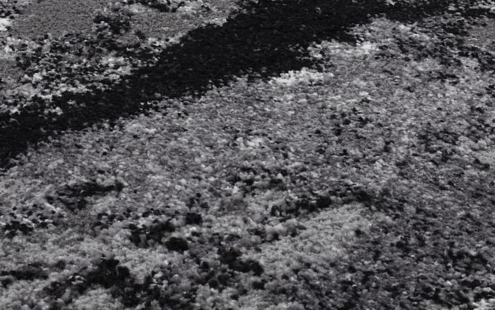 Teppich Starlight Echo, grau/schwarz, 200 x 290 cm-06