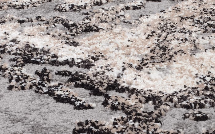 Teppich Starlight Echo, hellgrau/beige, 200 x 290 cm-06