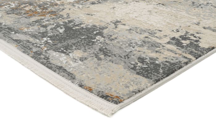 Teppich Prestoria Lova, beige/grau, 200 x 290 cm-04