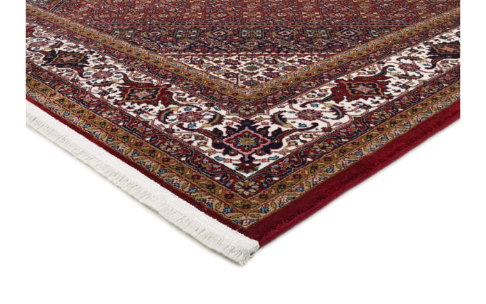 Teppich Seidenwind Bidjar, rot, 160 x 230 cm-02