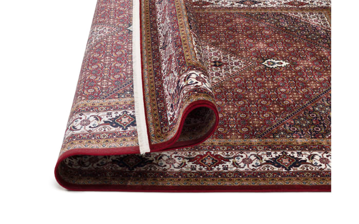 Teppich Seidenwind Bidjar, rot, 160 x 230 cm-04