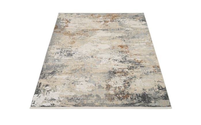 Teppich Prestoria Lova, beige/grau, 160 x 230 cm-05