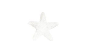 Hochflorteppich Star in weiß, 60 x 63 cm